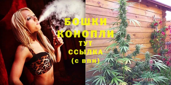 spice Волоколамск