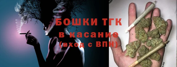 дмт Горно-Алтайск