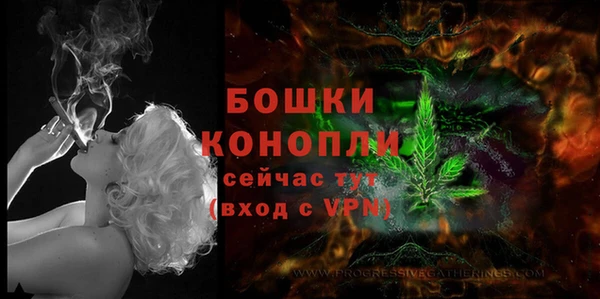 дмт Горно-Алтайск