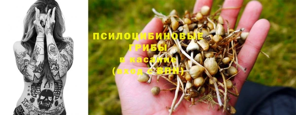 скорость Горняк