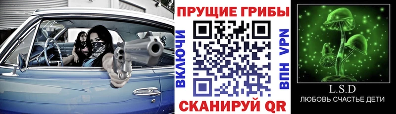 MEGA зеркало  где купить   Зубцов  Псилоцибиновые грибы Cubensis 